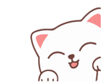 Un chat